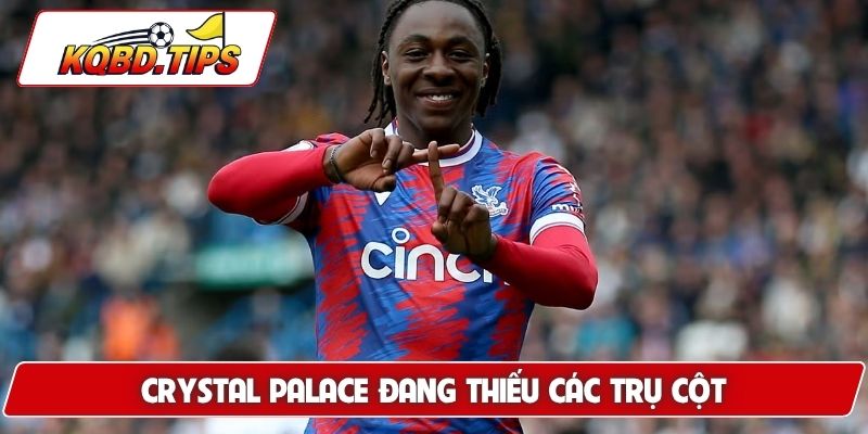 Crystal Palace đang thiếu các trụ cột