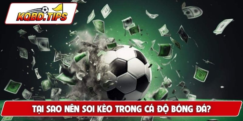 Tại sao nên soi kèo trong cá độ bóng đá?